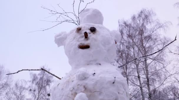 外の空に大きな雪だるま コーンの目と口 背景には雪の中の木がある 子供のための冬のエンターテイメント 冬休みだ 雪の冬 — ストック動画