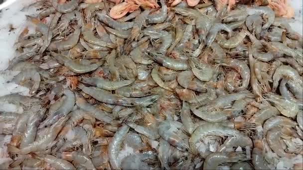 Lot Shrimp Lying Ice Fridge Store Counter Sale Seafood Seafood — Stock Video