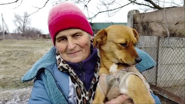 ウクライナのハリコフ 2022年12月15日 腕に赤い犬を持つ女性の肖像画 女性は犬と通信し それをストロークします 野良犬の世話を 野良犬の救助 — ストック動画