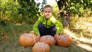 Şirin bir çocuk bahçede taze koparılmış büyük yuvarlak balkabaklarının yanında oturuyor. Sonbaharda sebze topluyorum.