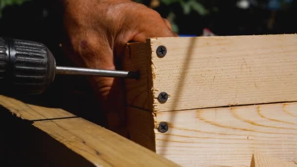 主人は木の箱を作る 木製の板にドライバーねじ 庭用木製工具の生産 — ストック動画
