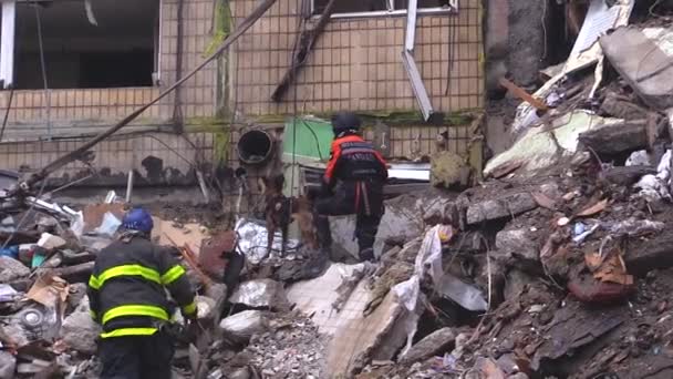 ウクライナのドニプロ 2023年1月14日 ロシアのミサイルがドニプロ市内の住宅ビルに衝突した後 救助犬と一緒に救助犬が瓦礫の中の人々を探しています ロシア人 — ストック動画