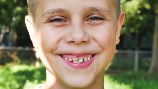 一个7 8岁的可爱的微笑男孩的画像 男孩的特写 背景是公园的夏季绿地 — 图库视频影像
