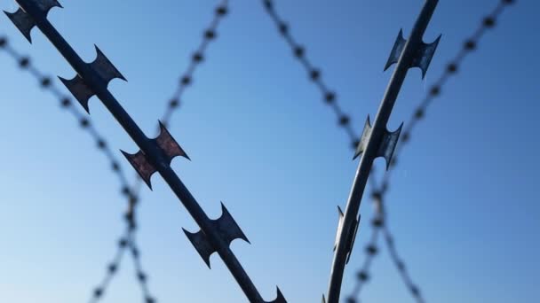 Barbed Wire Blue Sky State Border Fight Illegal Immigrants — Vídeo de stock