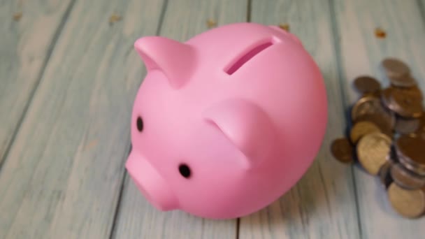 Unrecognizable Hand Puts Coins Piggy Bank Form Pink Pig Home — Wideo stockowe