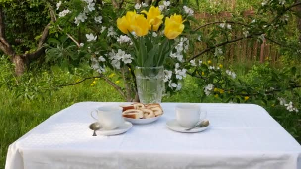 Table Served Tea Drinking Garden Backdrop Blooming Apple Tree Table — Vídeo de Stock