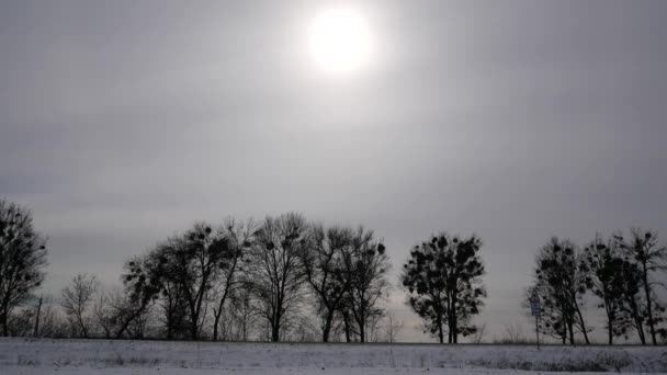 Car Driving Winter Track Sides Road Snowy Field Trees Sun — Stockvideo