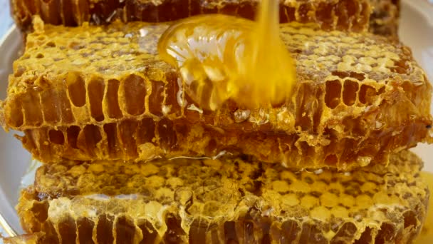 Liquid Golden Sweet Honey Poured Top Honeycomb Honey Flows Waxy — Vídeos de Stock