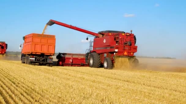 Kharkiv Ukraine July 2022 Combine Harvester Drives Field Ripe Wheat — стоковое видео