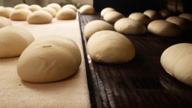 Bread production at the bakery. Dough cakes travel along the conveyor belt to the oven