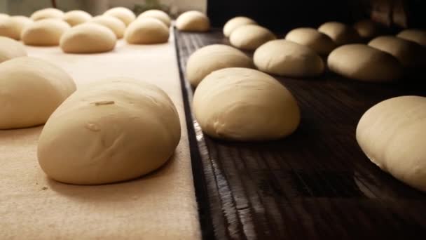 Bread Production Bakery Dough Cakes Travel Conveyor Belt Oven — Stock video