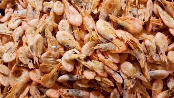 Lots Frozen Shrimp Shop Window Seafood Balanced Diet — Stock Video