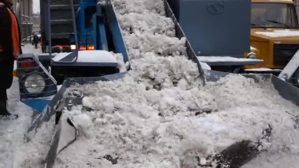 Snow Loader Loads Snow Belt Blades Transfers Back Truck Clearing — стоковое видео