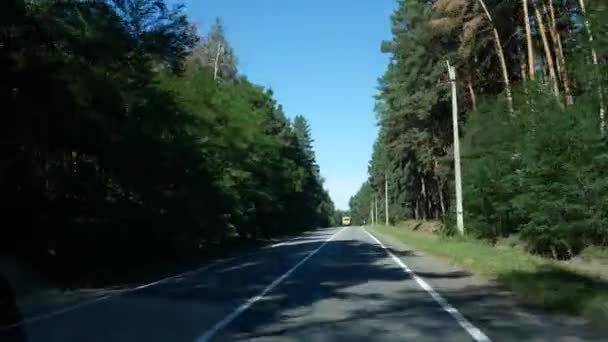 Road Seen Windshield Moving Car Green Trees Right Left Truck — Stock Video