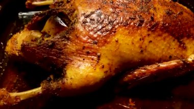 Baked duck with apples on a baking sheet. Duck with toasted crispy crust. Cooking poultry in the oven and on the grill