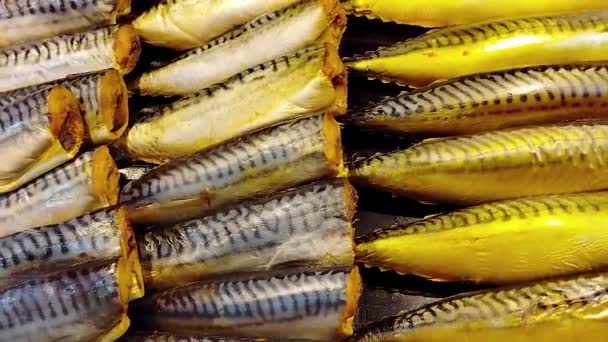 Витрине Магазина Выложено Много Копченой Морской Рыбы Панорама Рыбная Продукция — стоковое видео