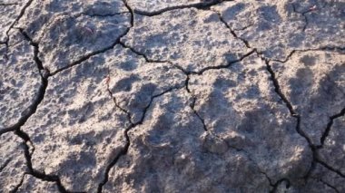 Heat cracked earth. Drought and global warming, the threat of a food crisis and famine