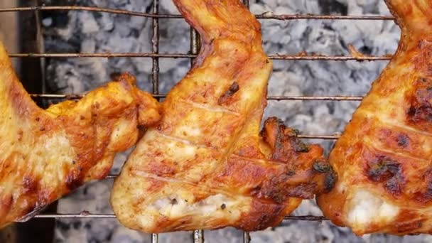 Appetizing Grilled Chicken Wings Golden Crust Picnic Nature — Stockvideo