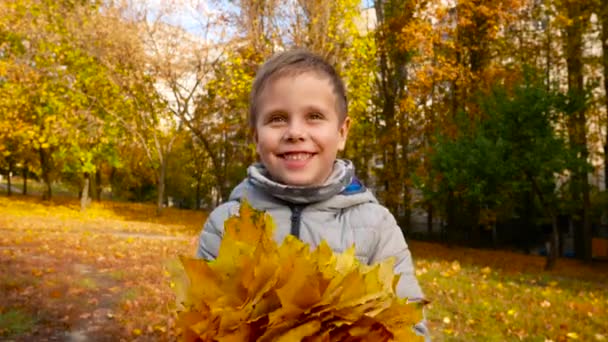 Laughing Boy Years Old Holds Bouquet Yellow Leaves His Hands — Vídeo de Stock