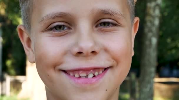 公園で7年のかわいい笑顔の男の子の肖像画 — ストック動画