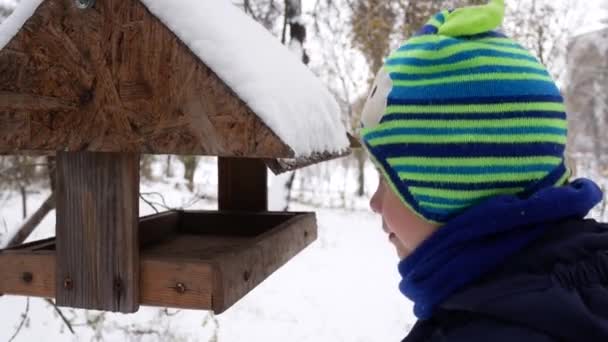 かわいい男の子が冬にバードフィーダーを見ています 背景には雪の公園 — ストック動画