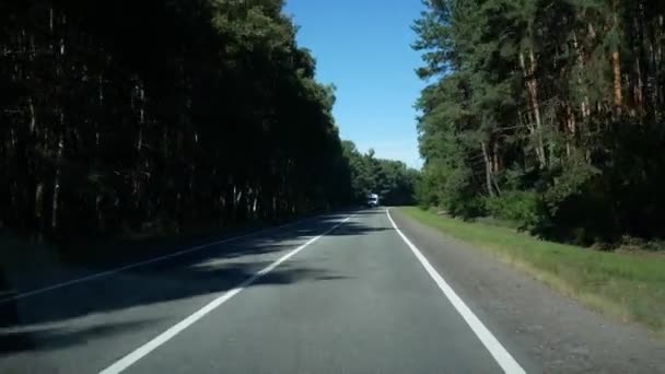 Road Goes Forward Sides Pine Forest View Windshield Moving Car — Stock Video