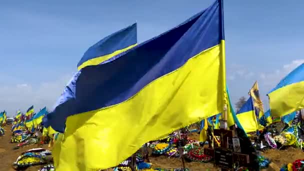 Χάρκοβο Ουκρανία Απρίλιος 2023 Κίτρινες Μπλε Σημαίες Της Ουκρανίας Πετούν — Αρχείο Βίντεο