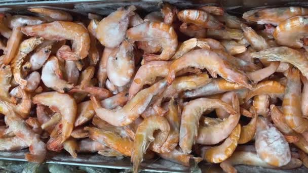 Lots Large Freshly Frozen Shrimp Ice Iron Container Supermarket — Stock Video