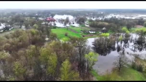 洪水泛滥 河流村庄春天被洪水淹没 空中摄影中的树木和绿地 — 图库视频影像