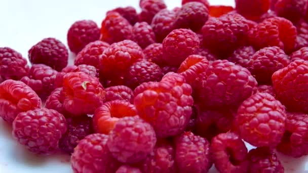 Red Berries Ripe Juicy Large Raspberries Scattered White Table Vitamin — Stock Video
