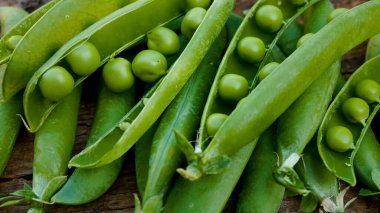 Tahta bir yüzeyde taze bezelye kabukları. Panorama. Taze toplanmış bezelyeler, vitamin, yüksek proteinli bitki temelli diyet.