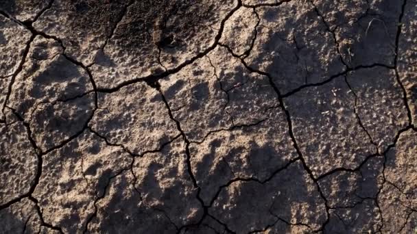 Трещины Недостатка Влажной Земли Крупный План Проблема Глобального Потепления Засушливых — стоковое видео