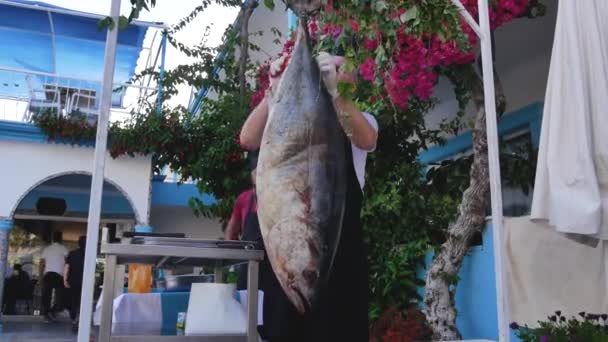 土耳其一侧 2023年6月20日 一名厨师在一家土耳其酒店餐厅屠宰了一条悬挂的大金枪鱼 地中海海鲜 — 图库视频影像