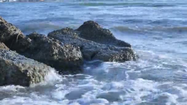 Ondas Mar Batem Contra Pedras Costa Espuma Mar Lavada Terra — Vídeo de Stock