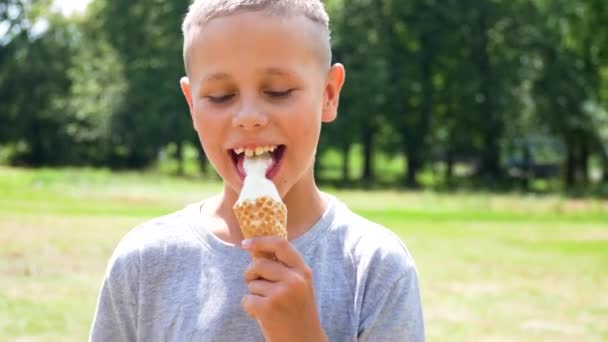Portrét Roztomilého Devítiletého Chlapce Zeleném Parku Jak Létě Zmrzlinu Letní — Stock video