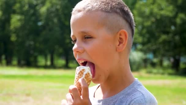 Милий Річний Хлопчик Їсть Морозиво Міському Парку Літній День Солодкий — стокове відео