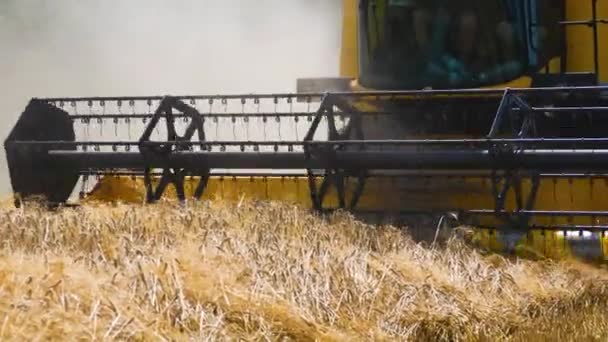 Kombájn Levágja Érett Búzát Mezőn Közelkép Fejlécről Búza Betakarítása Ukrajnában — Stock videók