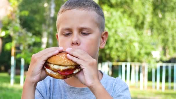 Leuke Jarige Jongen Die Zomer Een Hamburger Eet Het Park — Stockvideo