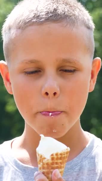 公園でかわいい男の子がアイスクリームコーンを食べている ウォーキング中に甘いコールドトリート — ストック動画
