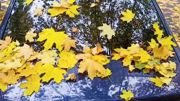 黄色的枫树落在车篷上 金秋风貌 — 图库视频影像