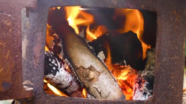 炉子上燃烧的木柴发出的红色火焰 炉灶里温暖舒适的炉火 — 图库视频影像
