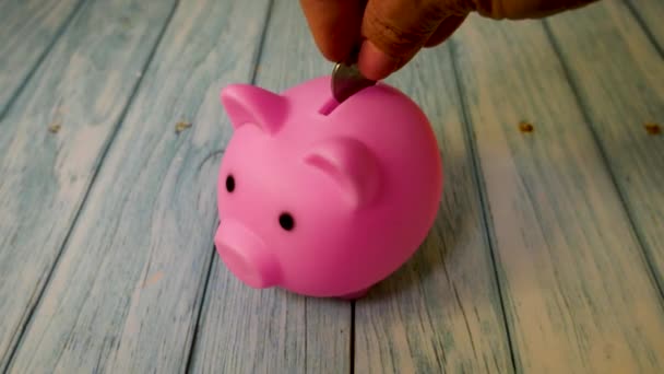 Womans Hand Throws Coins Piggy Bank Form Pink Pig Concept Stock Video