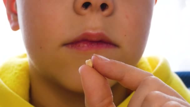 Criança Segura Dente Leite Que Acaba Cair Frente Dele Conceito — Vídeo de Stock