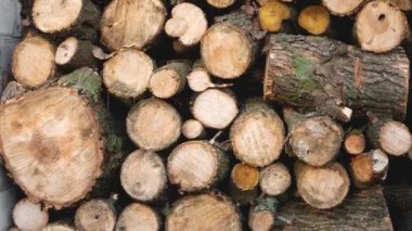 Evin yanında yığılmış bir sürü odun var. Panorama. Kıştan önce odun toplama kavramı, kışın alternatif ısınma.