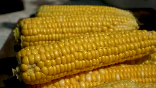 Несколько Спелых Кукурузных Початков Лежат Столе Кукуруза Стол Концепция Правильного — стоковое видео