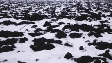 Siyah bir tarlada kar. Panorama. Kışın tarım tarlası. Dünya kışın dinlenir.