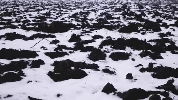 Nieve Campo Arado Negro Panorama Campo Agrícola Invierno Tierra Descansa — Vídeo de stock