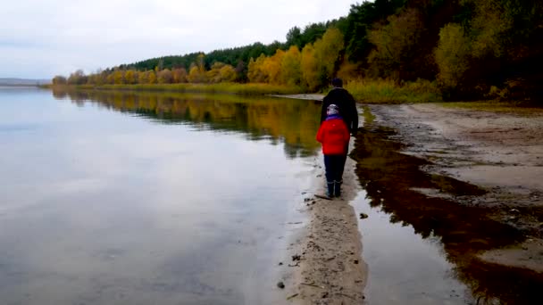 父と息子は秋の終わりに湖に沿って砂の上を歩いている その横には黄色い森があります 秋の終わりに湖を散策する — ストック動画