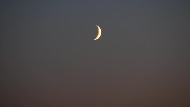 暗い空にいる若い月 新月の後の空での月の最初の出現は 狭い三日月の形で — ストック動画
