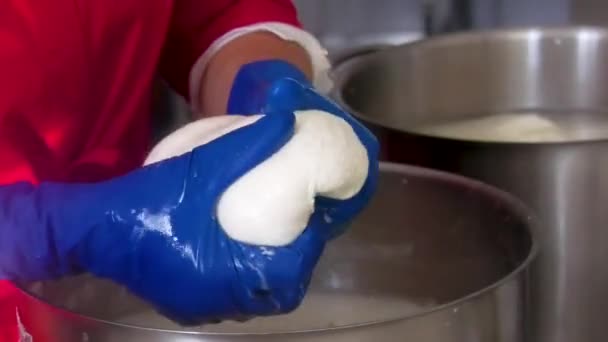 女人用手揉搓奶酪 在乳清中形成乳酪头 奶酪生产 一个小奶酪工厂的工作 手工艺人 — 图库视频影像